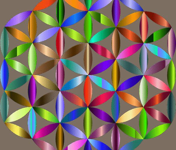 Sieć stanowi nieocenione wsparcie dla firm w pozyskiwaniu klientów